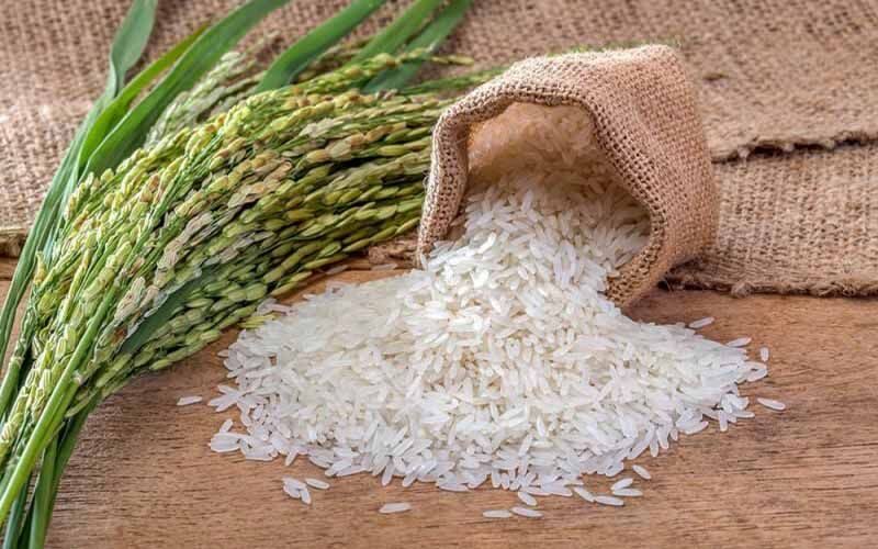 عوامل موثر برقیمت برنج