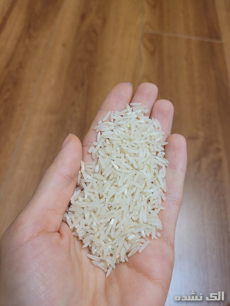 برنج فجر عمده