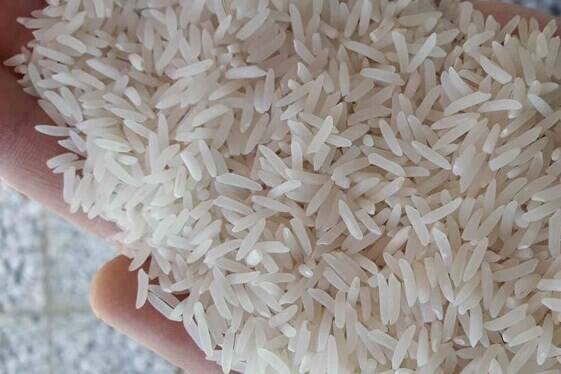 خرید برنج امراللهی