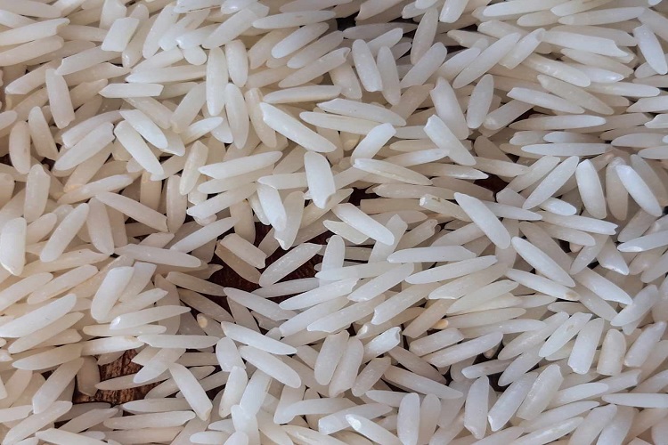 برنج دم سیاه چیست