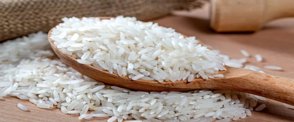 معرفی و فروش عمده برنج طارم هاشمی
