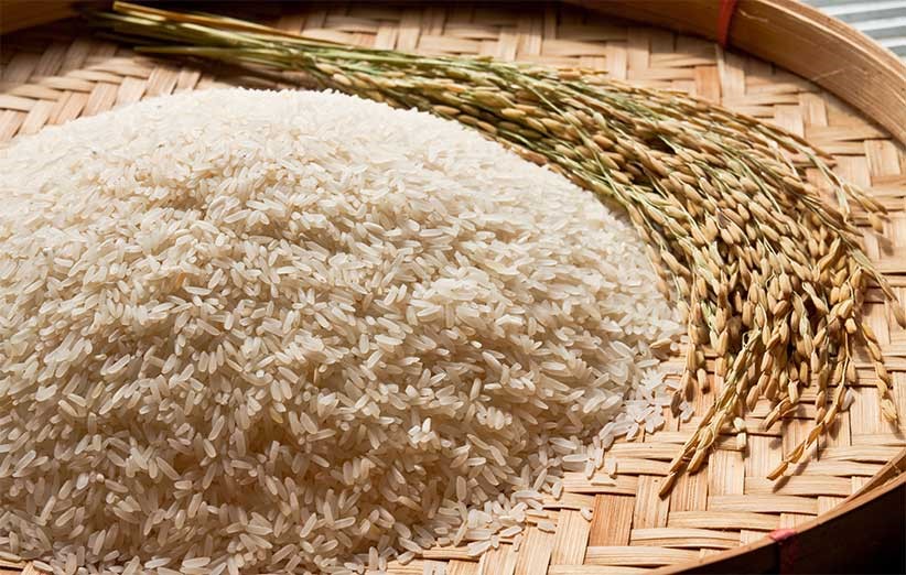 قیمت برنج راتون