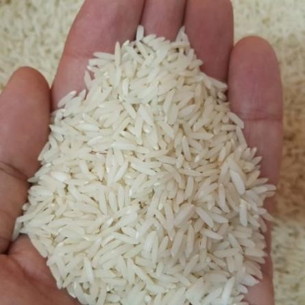 برنج تراریخته چیست