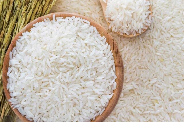 فروش برنج عمده