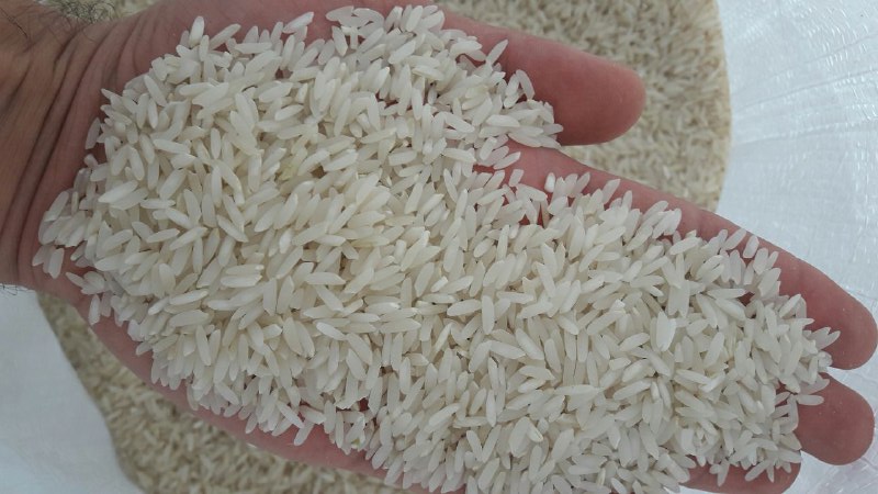 برنج بینام چیست