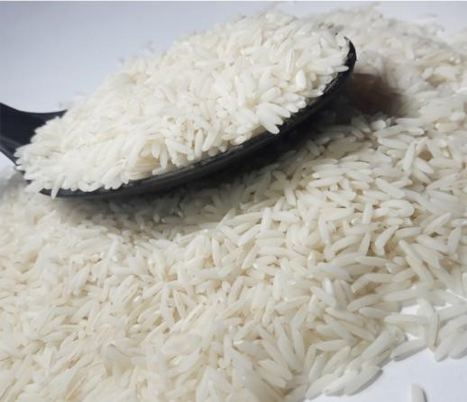 خرید برنج ایرانی به صورت عمده