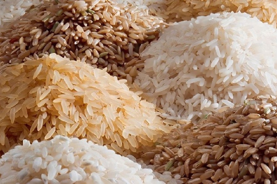 چرا برنج طارم را عمده بخريم
