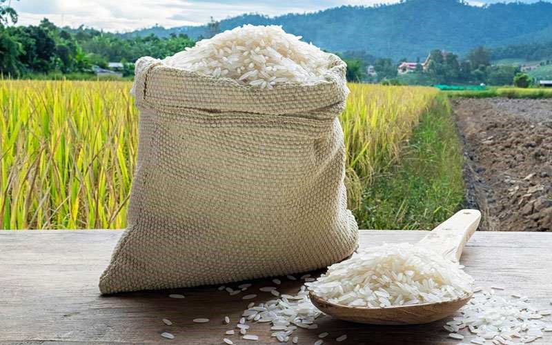 برنج عمده از کجا بخرم