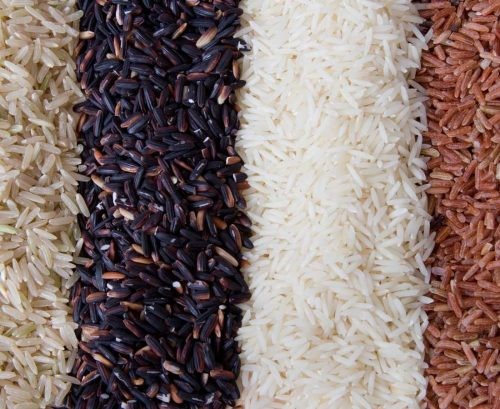 خرید انواع برنج ایرانی ارزان قیمت