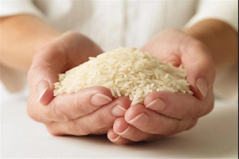 توزیع برنج ایرانی با بهترین کیفیت
