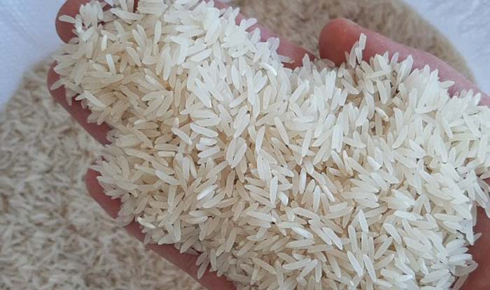 قیمت فروش برنج به صورت عمده