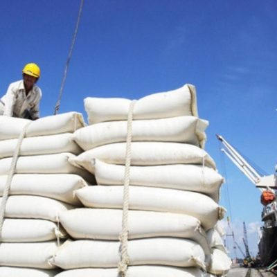 راهنمای جامع خرید عمده برنج ایرانی برای صادرات
